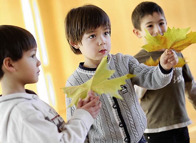 Musikunterricht an den Partnerkinderg...schule mit Hilfe des Landes anbieten.   | Foto: pr