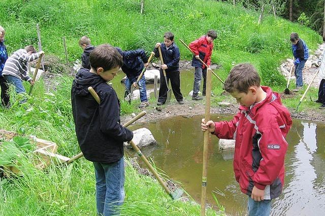 Rckzugsmglichkeiten fr Igel und Eidechsen