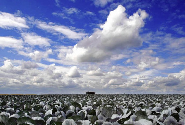 Wenn der Himmel riechen wrde, dann si...iheit, glaubt Zisch-Reporterin Laura.   | Foto: dpa