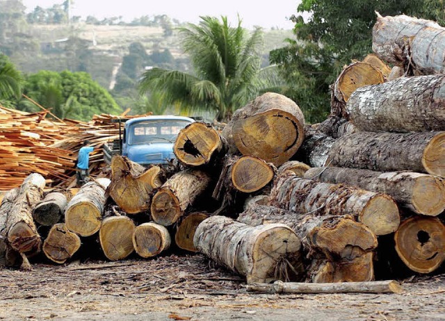 Schler der Brenfelsschule wollen sic...solche Rodung nicht stattfinden soll.   | Foto: dpa