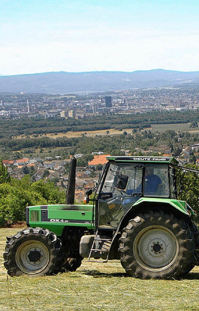 Die Landwirte mssen am Tllinger Eins...en bei der Bewirtschaftung hinnehmen.   | Foto: Trenz