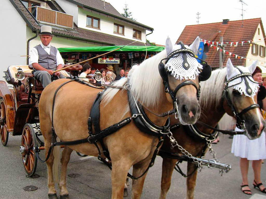 „Fiaker“ Robert Mller mit seinen Rssern