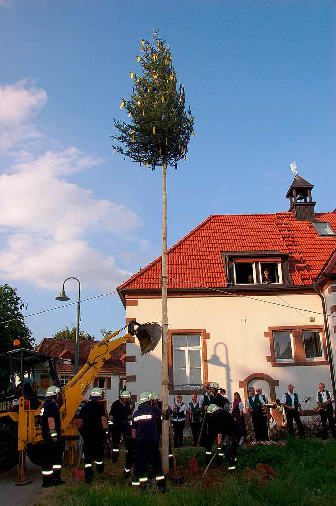 Der Brgermeisterbaum steht am Rathaus