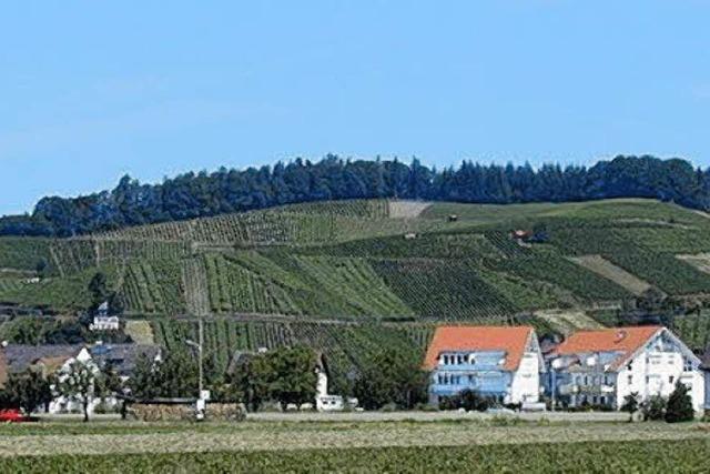 Am Wochenende ist Weinfest in Buchholz