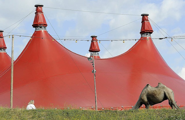 Die Zelte stehen bereits: Am Mundenhof beginnt morgen das Zeltmusikfestival.  | Foto: ingo schneider