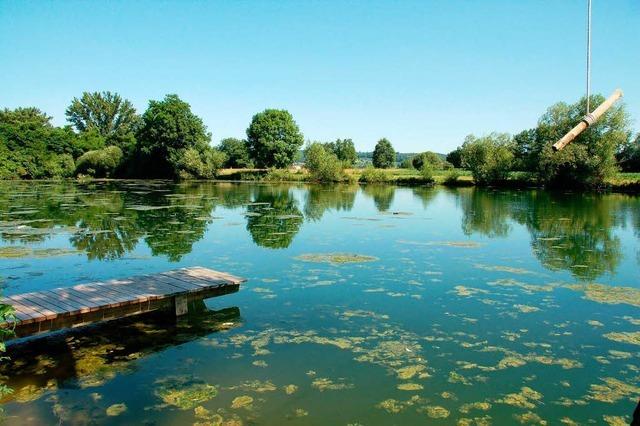 Kollmarsreuter Baggersee: Algen verderben den Badespaß