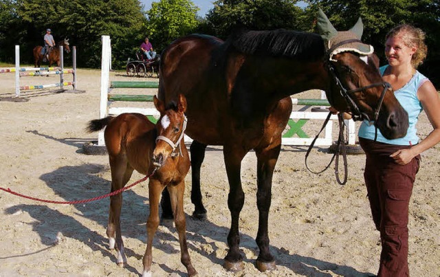 Reitplatzeinweihung: Das jngste Pferd...ings- und Abreitplatzes hinterlassen.   | Foto: Ernst H. Bilke