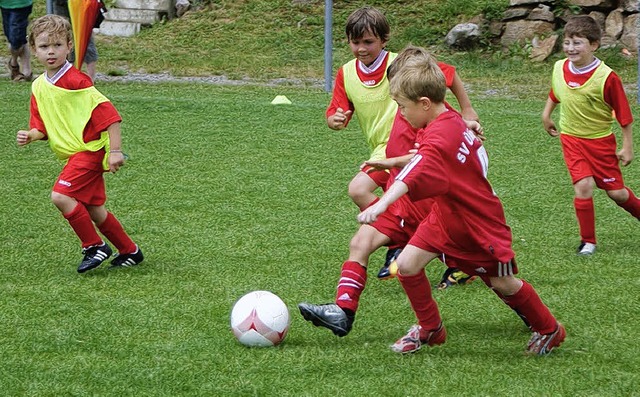 Bambinis (&quot;Pampersliga&quot;):   FC Birkendorf und  SG Schlchttal.   | Foto: Denz