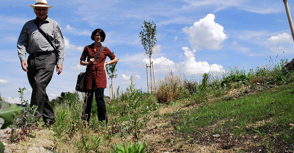 Englischer Rasen statt Wildpflanzen - Rheinfelden - Badische Zeitung