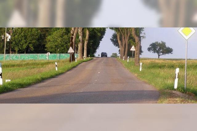 Radler sollen auf vorhandene Wege