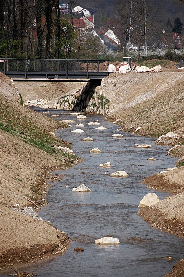 Ungenehmigte Eingriffe beim Hochwasserschutzbau rgern die Grnen.  | Foto: Lauber