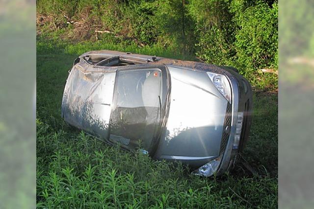 Ford landet im Straengraben