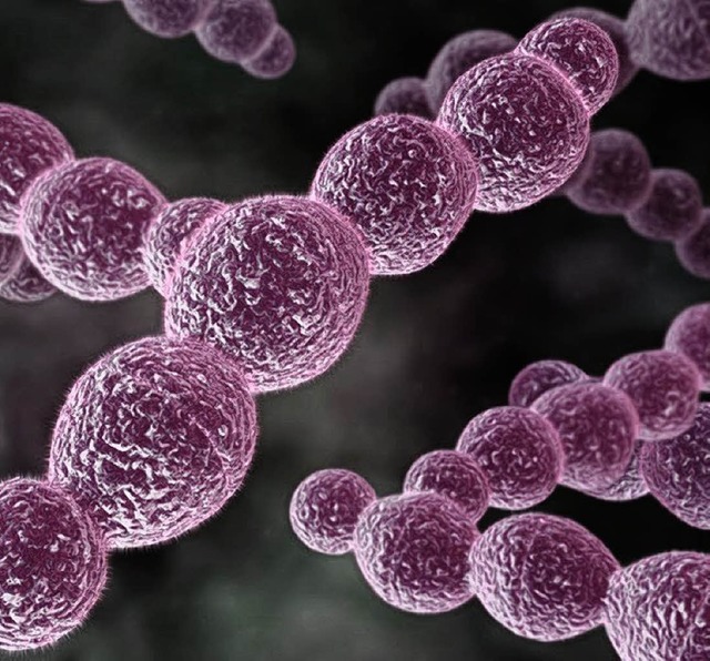 Nicht alle Mikroben sind harmlos.  | Foto: Simone R???ling / VCT - Fotolia