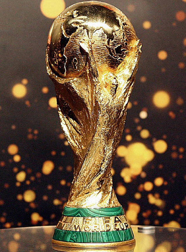 Ihn will Giovanni van Bronckhorst am S...er in den Hnden halten: der WM-Pokal   | Foto: ddp