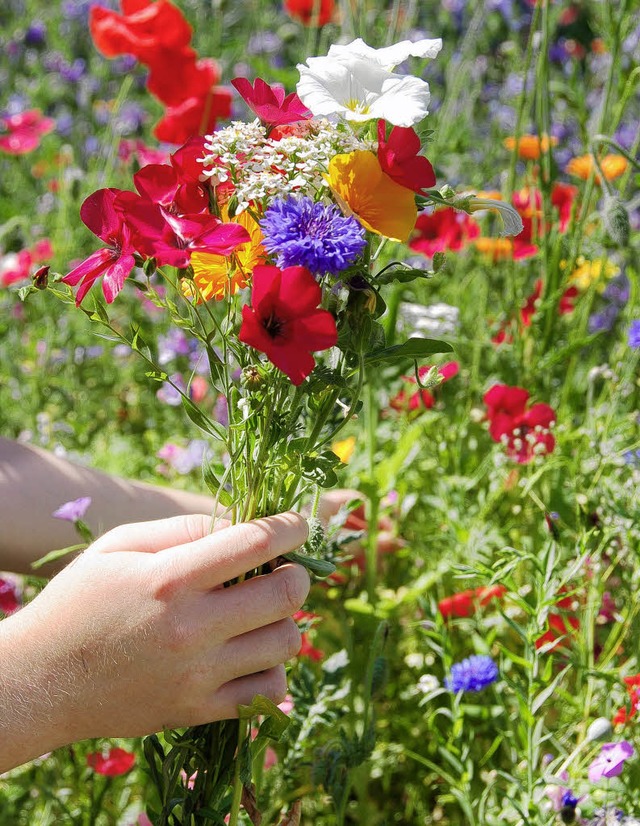 Alle sind begeistert vom Mssinger Sommer.   | Foto: Julian Meier