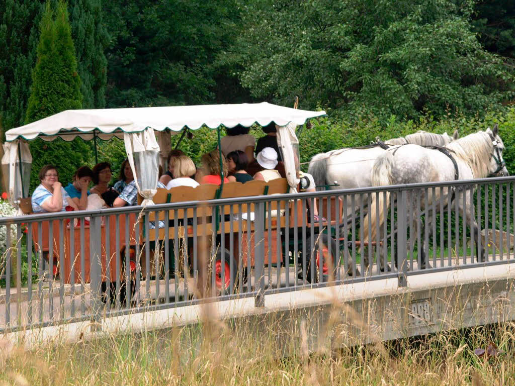 Impressionen vom Naturparkmarkt in Todtmoos.