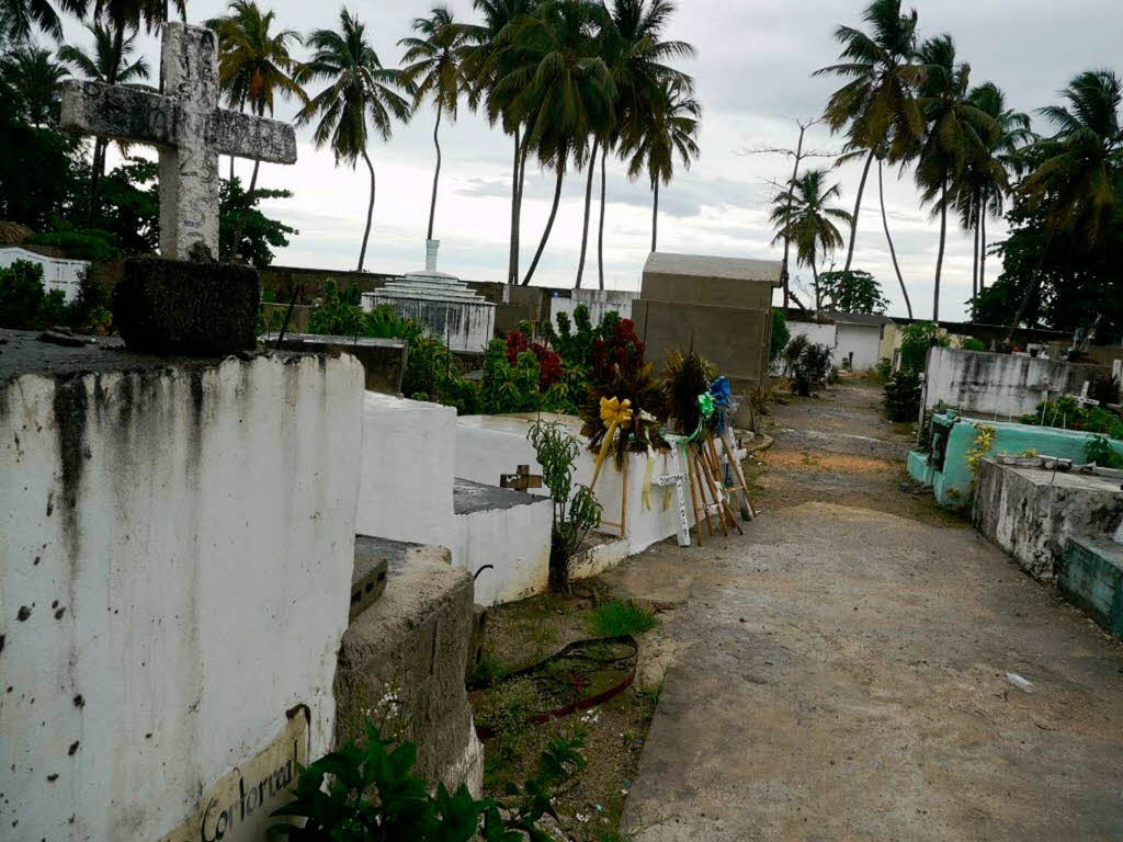 Friedhof unter Palmen in Las Terrenas