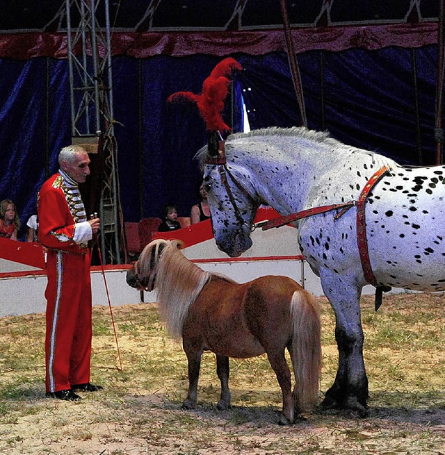 Schn anzusehen war auch die Pferdedressur des Zirkusdirektors  | Foto: Edgar Steinfelder