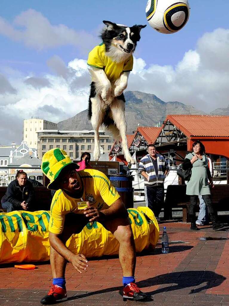 Wer sich mit seinem Hund sportlich bettigen will, sollte diese Aktivitten in die khleren Morgen- oder Abendstunden verlegen.