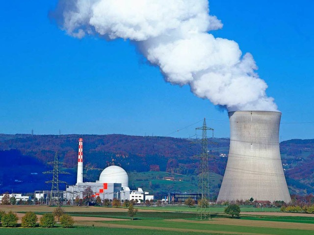 Kostet viel  Hochrheinwasser: Khlturm des AKW Leibstadt  | Foto: Werkfoto