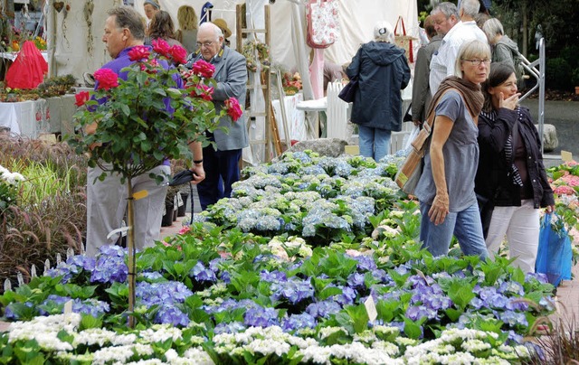 Schloss Beuggen bietet eine prchtige Kulisse fr die Gartenmesse Diga.   | Foto: Archivbild: Ingrid Bhm-Jacob