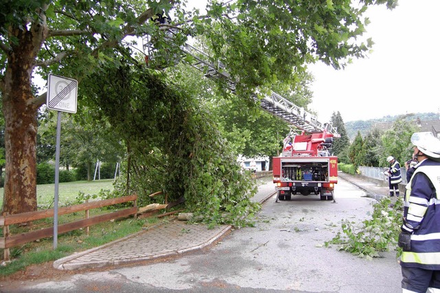 Zu Bruch gingen ste beim Gewitter am Mittwoch.  | Foto: Feuerwehr