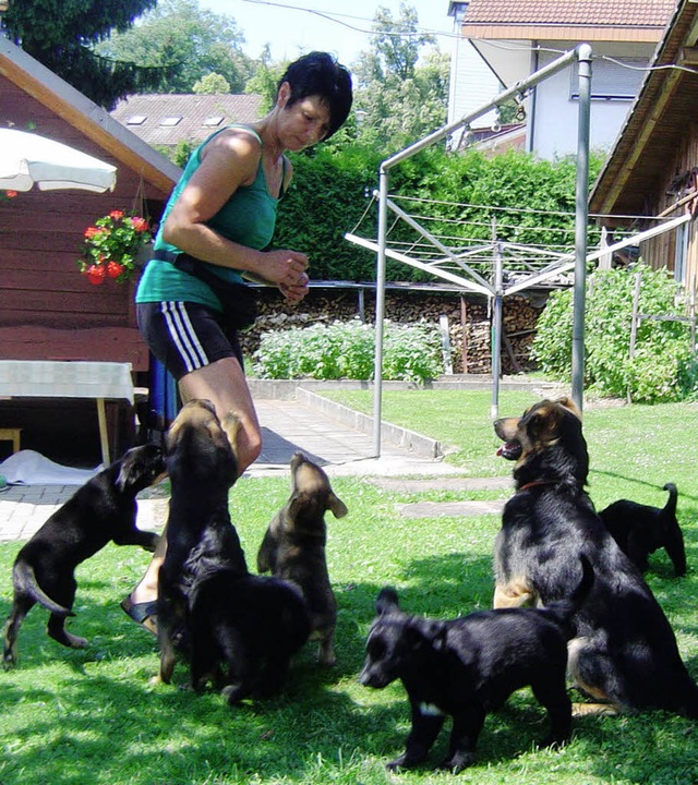 Aufmerksam verfolgen die Hunde jede Be...issen sie doch, gleich gibt es Futter.  | Foto: Heidrun Simoneit