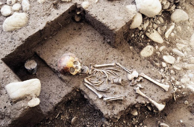 Als Grabbeigabe liegt am Kopfende dies...skeletts ein unversehrter Glasbecher.   | Foto: Archologische Bodenforschung Basel-Stadt