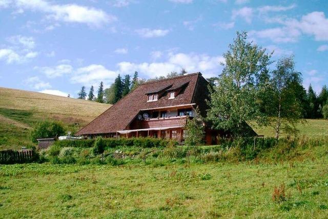 Auf Hinterwaldkopfhtte die Stille der Almweiden genieen