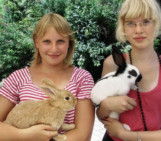 Freude an ihren Tieren haben Laura, di...ner seltenen Kleinschecke (von links).  | Foto: Bode