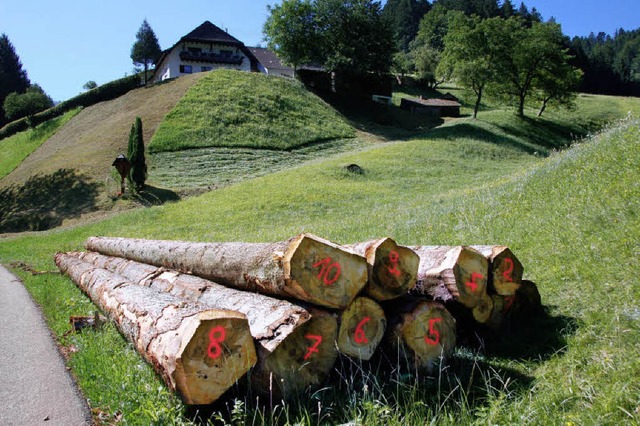 Kaum noch Holz liegt derzeit im Gemein...hl der Preis durchaus verlockend ist.   | Foto: Elfriede Mosmann