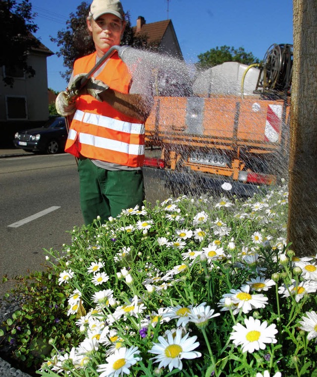 Gieen ist derzeit eine der Hauptaufgaben der Stadtgrtnerei.   | Foto: Lauber