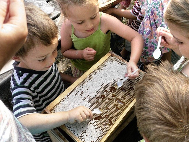Kleine Bienenforscher des evangelischen Kindergartens Raitbach waren unterwegs.   | Foto: Privat