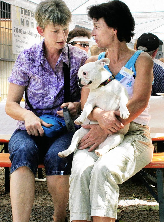 Tierheimleiterin Martina Donath (recht...&#8220; im Gesprch mit Susanne Ludin   | Foto: Cremer