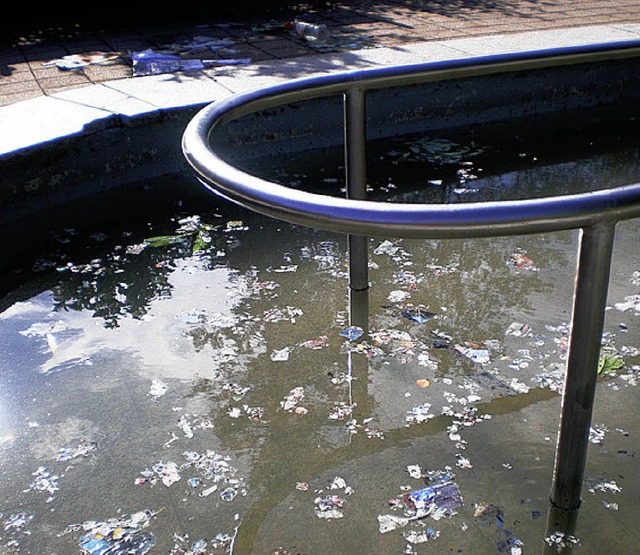 Sauerei: Schon wieder verwsteten Unbekannte das Kneipp-Becken in der Stadt.   | Foto: privat