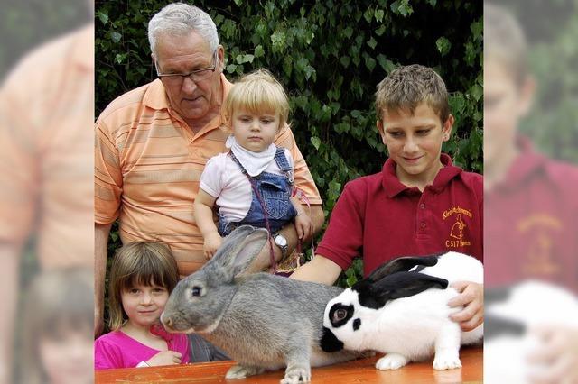 Dreimal die Bestnote fr rassige Kaninchen