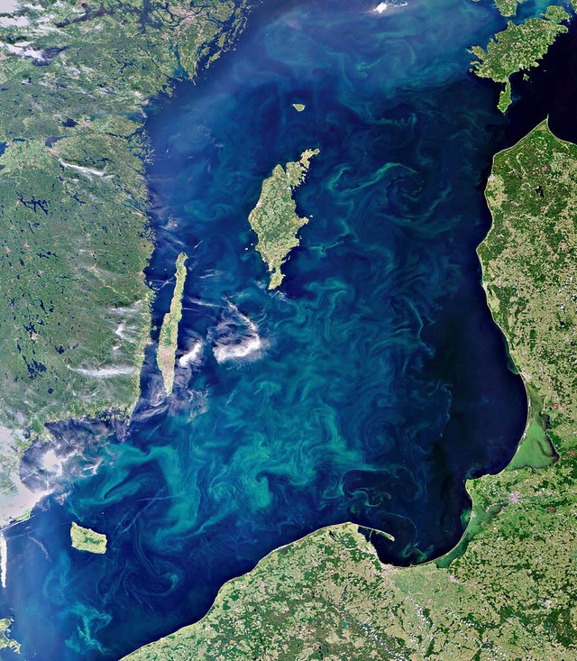 Satellitenaufnahme des blau-grnen Teppichs   | Foto: ddp