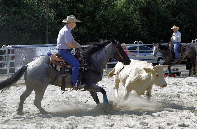 Wie echte Cowboys: Bei der Eurocheval wird auch Cutting vorgestellt.  | Foto: carola bruhier