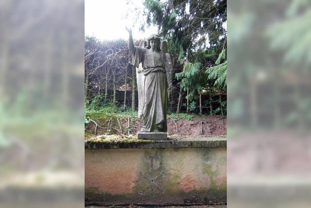 Friedhof der Nagetiere