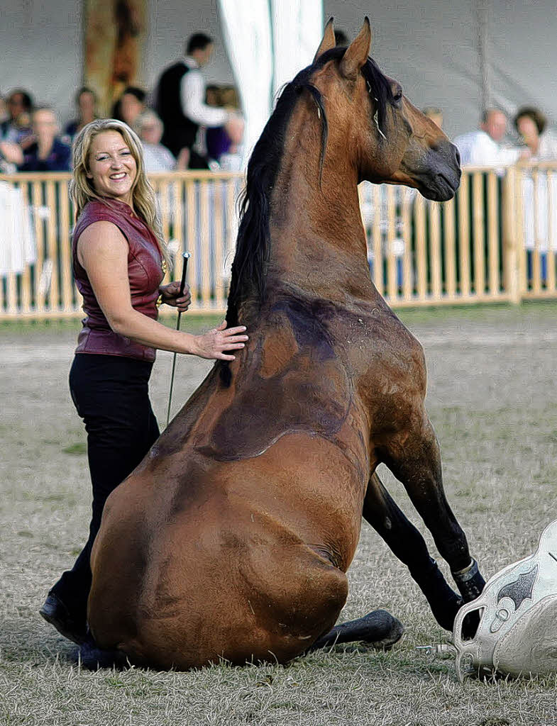 41 300 besuchten die Eurocheval Offenburg Badische Zeitung