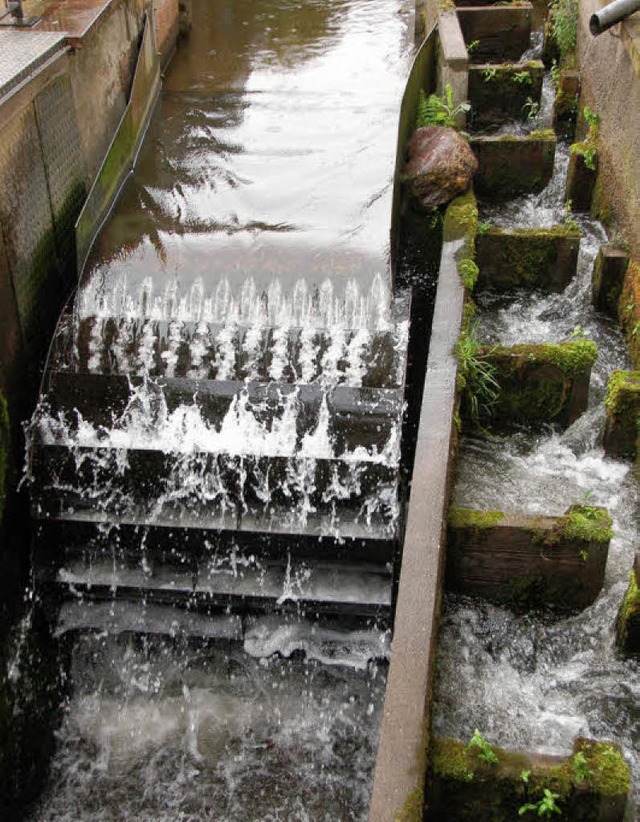 Wasserkraft wird auch die Energieversorgung Denzlingen fr ihr Netz nutzen.  | Foto: FRANK KIEFER