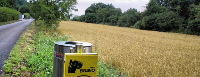 Blick vom westlichen Ende des Hornacke...weiter links ist der Hrnli-Friedhof.   | Foto: Ralf Staub