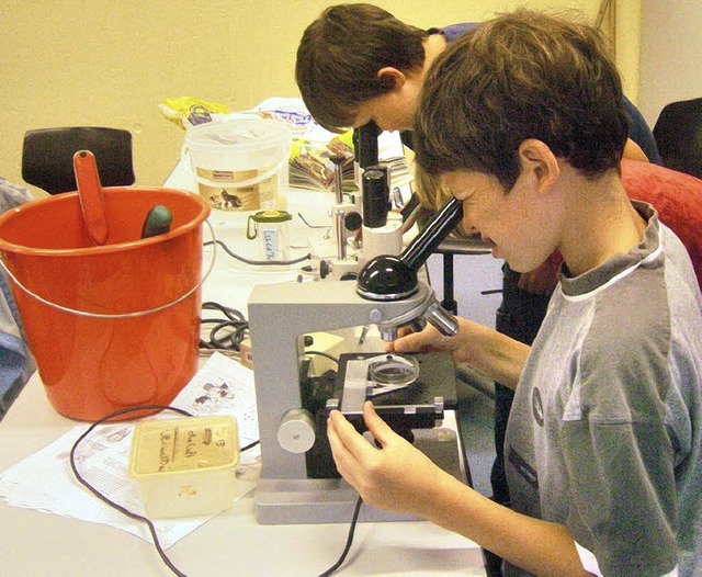 Der  Blick durch ein Mikroskop kann fa...uch Schler des Breisacher Gymnasiums.  | Foto: bernhard thill