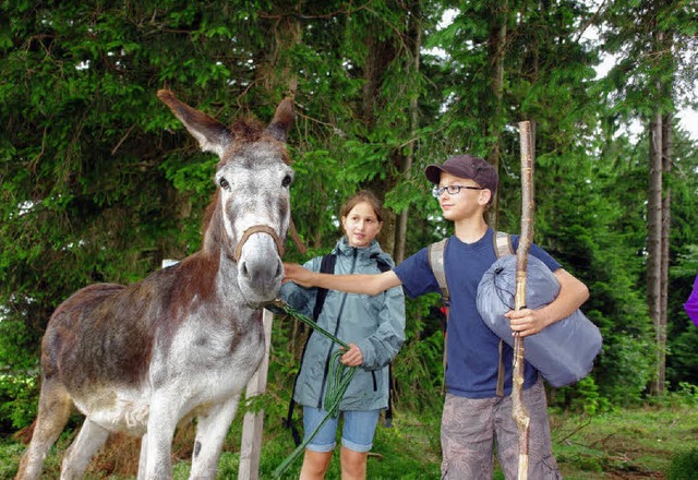 Annherungsversuche: Pascal und der Esel  lernen sich kennen  | Foto: Carina Braun