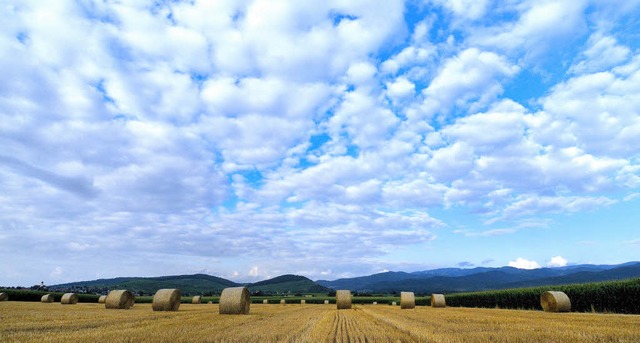   | Foto: Siegfried Gollrad