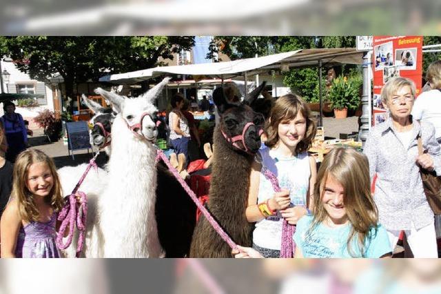 Bauernmarkt als Publikumsmagnet