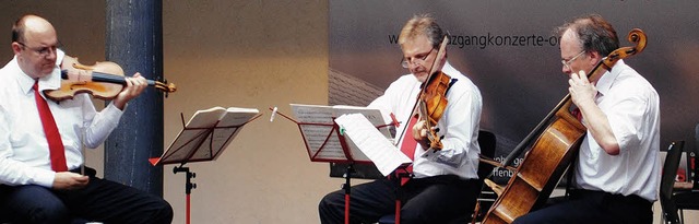 Boten ein kontrastreiches Konzert &#82...e Musiker des Offenburg Streichertrios  | Foto: robert ullmann