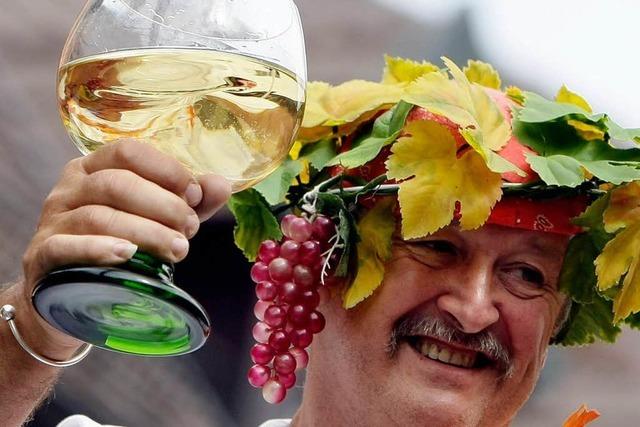 Fotos: Markgrfler Weinfest in Staufen – der Umzug