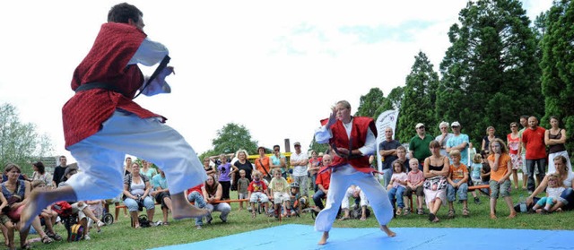 Zum Staunen waren beim Seefest unter a...fhrungen des Karateclubs Shintaikan.   | Foto: Rita Eggstein