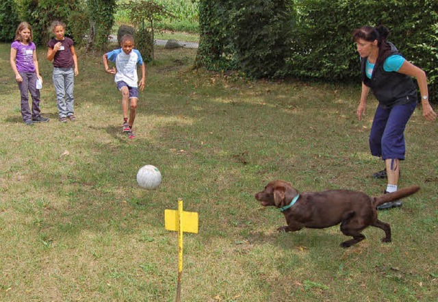 Der Hund als Torwart beim Fuballspielen.  | Foto: Heinz Vollmar